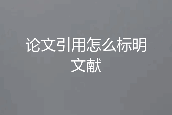 论文引用怎么标明文献