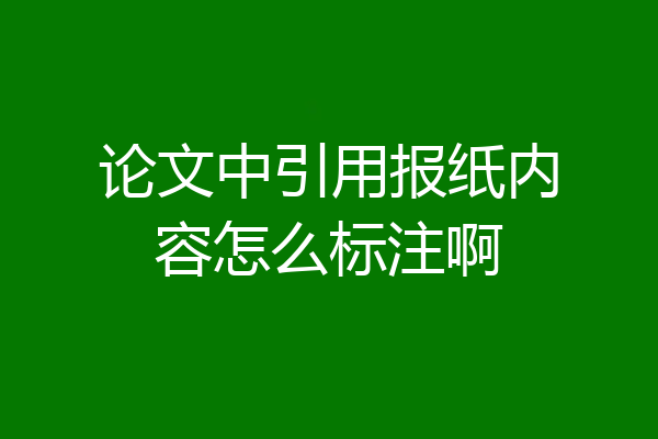 论文中引用报纸内容怎么标注啊