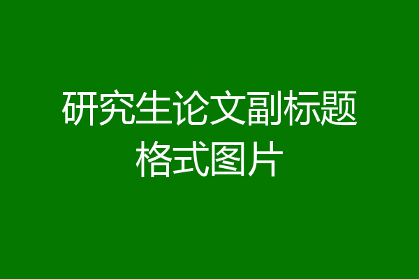 研究生论文副标题格式图片