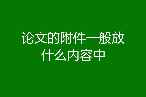 论文的附件一般放什么内容中