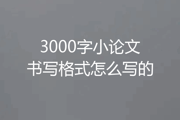 3000字小论文书写格式怎么写的