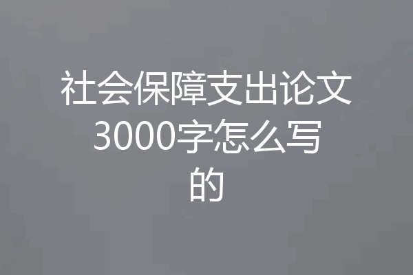社会保障支出论文3000字怎么写的