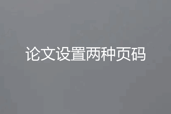 论文设置两种页码