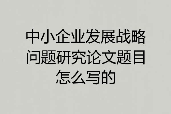 中小企业发展战略问题研究论文题目怎么写的