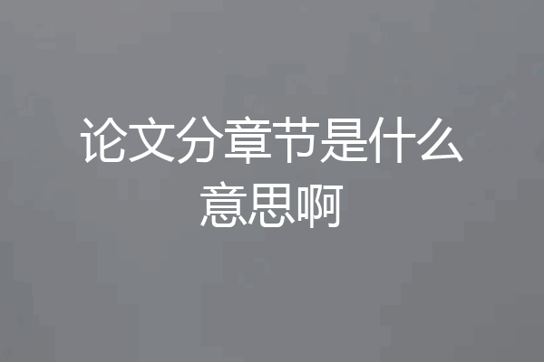 论文分章节是什么意思啊