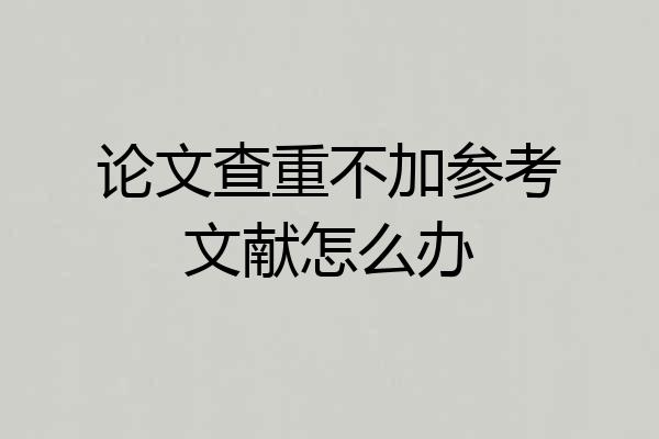 论文查重不加参考文献怎么办