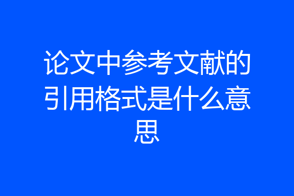 论文中参考文献的引用格式是什么意思