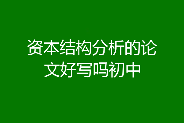 资本结构分析的论文好写吗初中