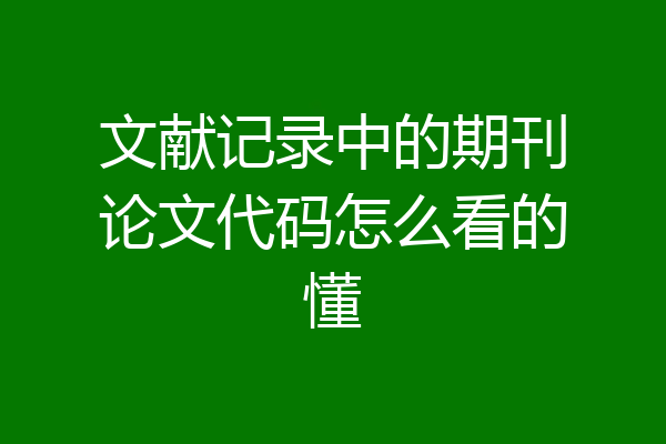 文献记录中的期刊论文代码怎么看的懂