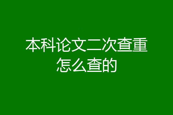 本科论文二次查重怎么查的