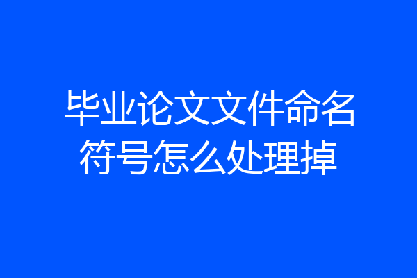 毕业论文文件命名符号怎么处理掉