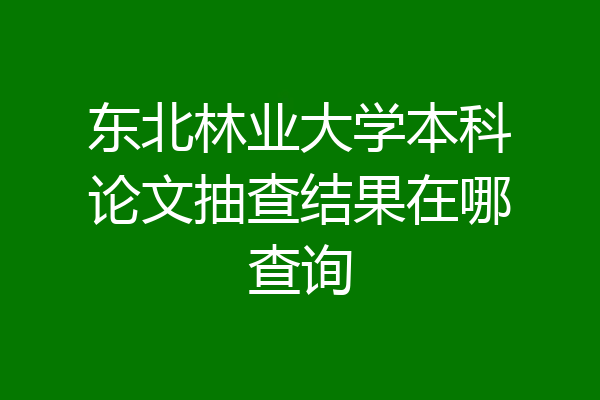 东北林业大学本科论文抽查结果在哪查询
