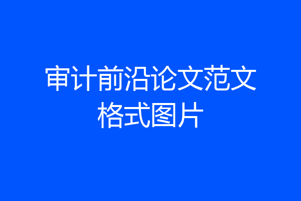 审计前沿论文范文格式图片
