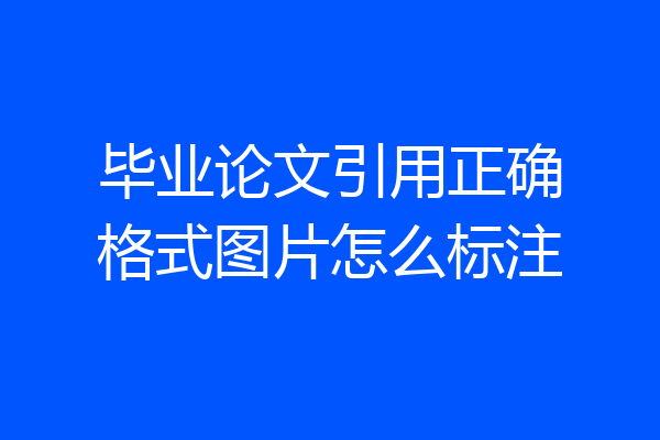 毕业论文引用正确格式图片怎么标注