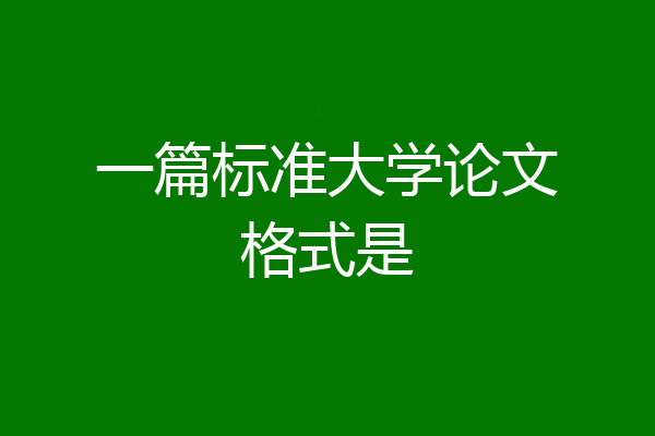 一篇标准大学论文格式是