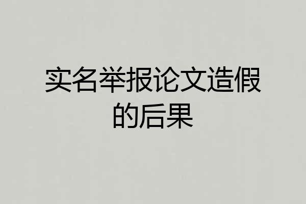 实名举报论文造假的后果