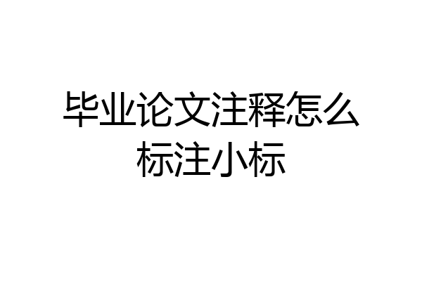 毕业论文注释怎么标注小标