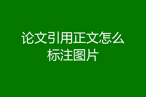 论文引用正文怎么标注图片
