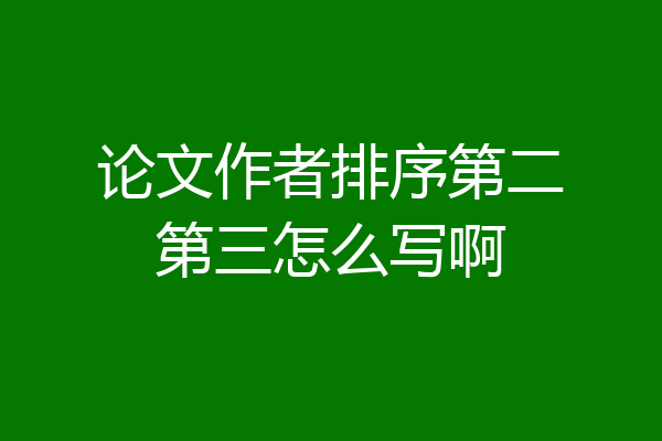 论文作者排序第二第三怎么写啊