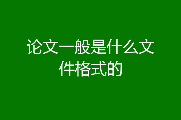 论文一般是什么文件格式的