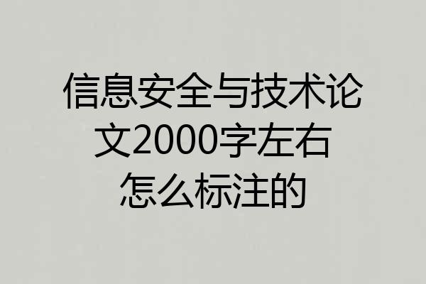 信息安全与技术论文2000字左右怎么标注的