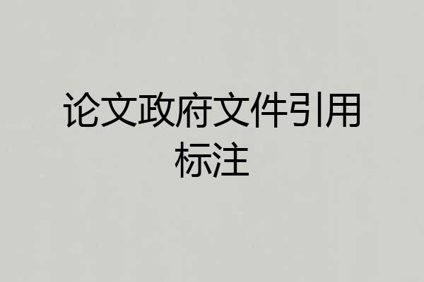 论文政府文件引用标注