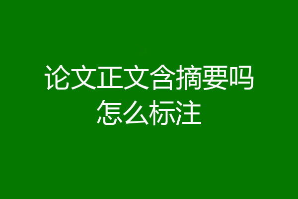 论文正文含摘要吗怎么标注