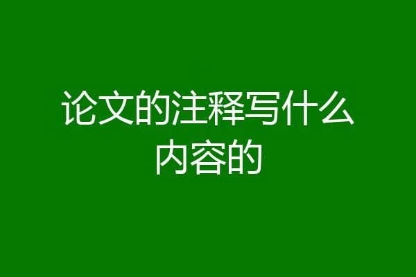 论文的注释写什么内容的