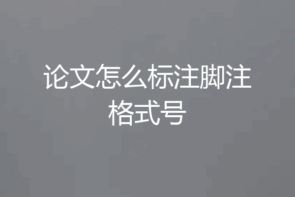 论文怎么标注脚注格式号