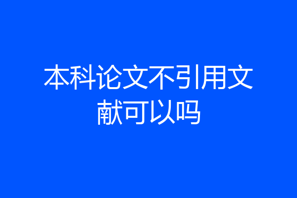 本科论文不引用文献可以吗