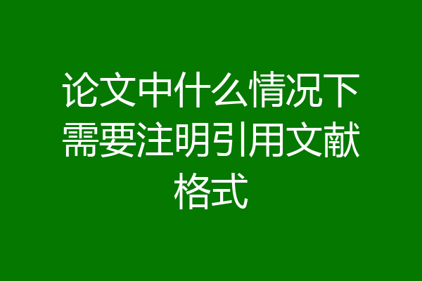 论文中什么情况下需要注明引用文献格式