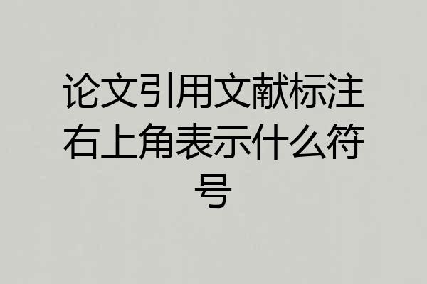 论文引用文献标注右上角表示什么符号