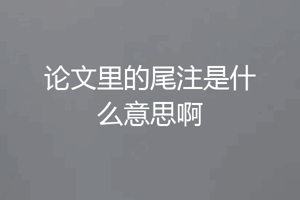 论文里的尾注是什么意思啊