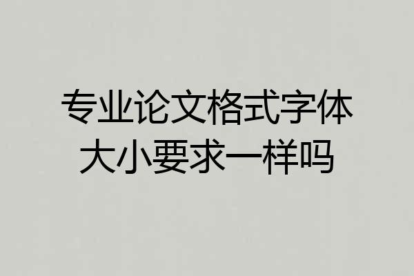 专业论文格式字体大小要求一样吗