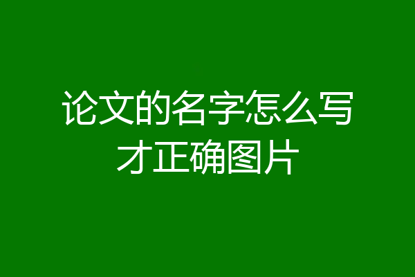 论文的名字怎么写才正确图片