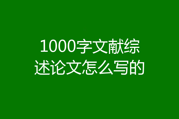 1000字文献综述论文怎么写的