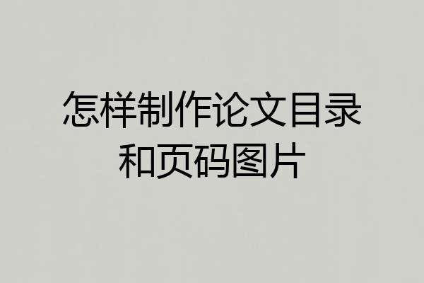 怎样制作论文目录和页码图片
