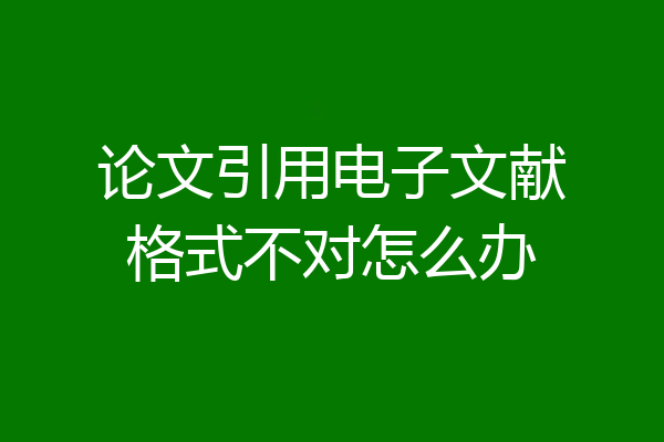 论文引用电子文献格式不对怎么办