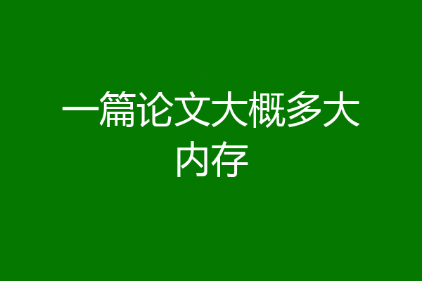 一篇论文大概多大内存