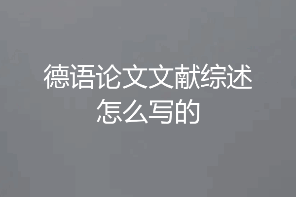 德语论文文献综述怎么写的