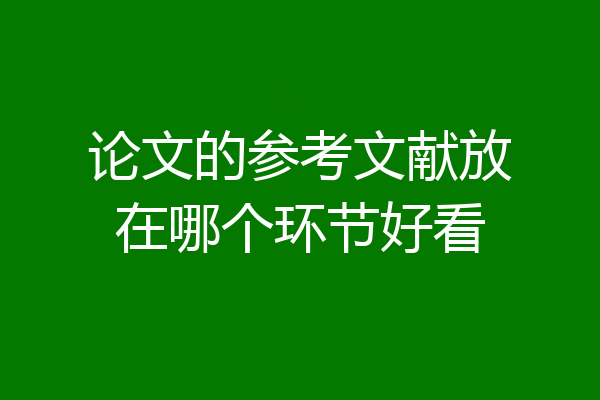 论文的参考文献放在哪个环节好看