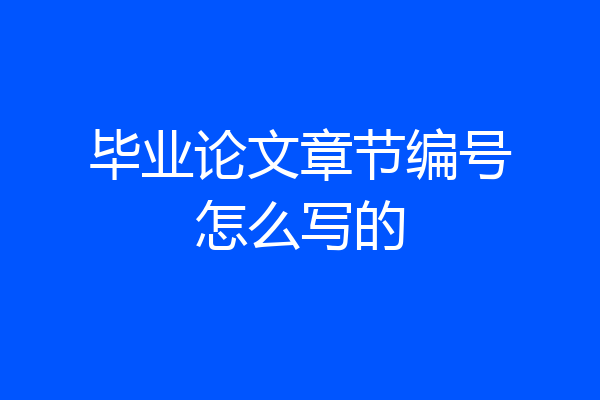 毕业论文章节编号怎么写的