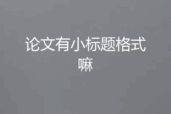 论文有小标题格式嘛