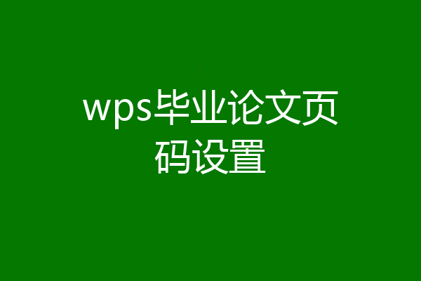 wps毕业论文页码设置