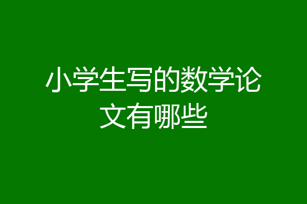 小学生写的数学论文有哪些