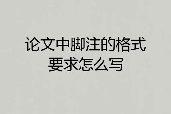 论文中脚注的格式要求怎么写