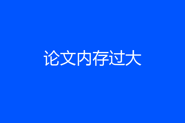 论文内存过大