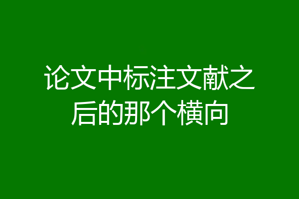 论文中标注文献之后的那个横向