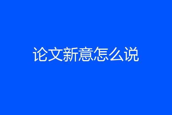 论文新意怎么说