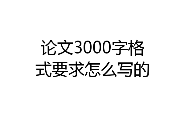 论文3000字格式要求怎么写的